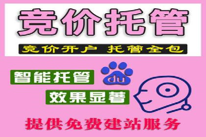 百度推广代运营公司服务详解：全方位的广告策略